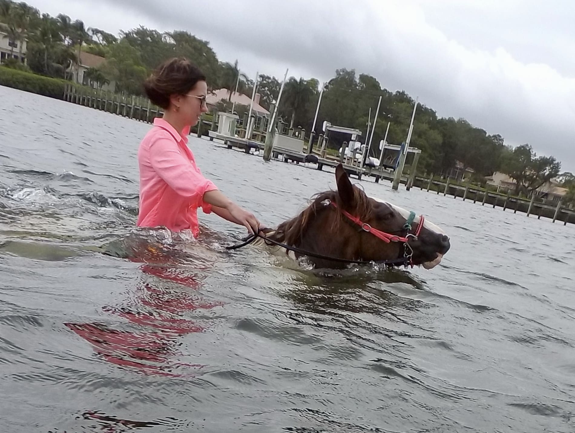 Florida’s Most Unique Adventure: 10 Things to Know Before Swimming with Horses