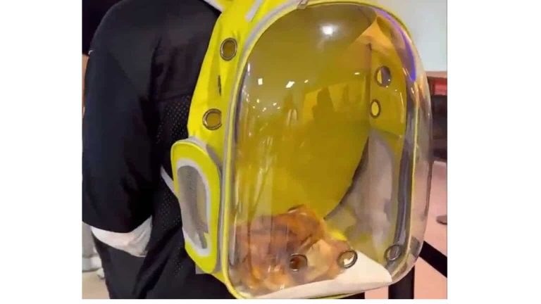 People Are Calling This an “Emotional Support Rotisserie Chicken” — and TSA Co-Signed It