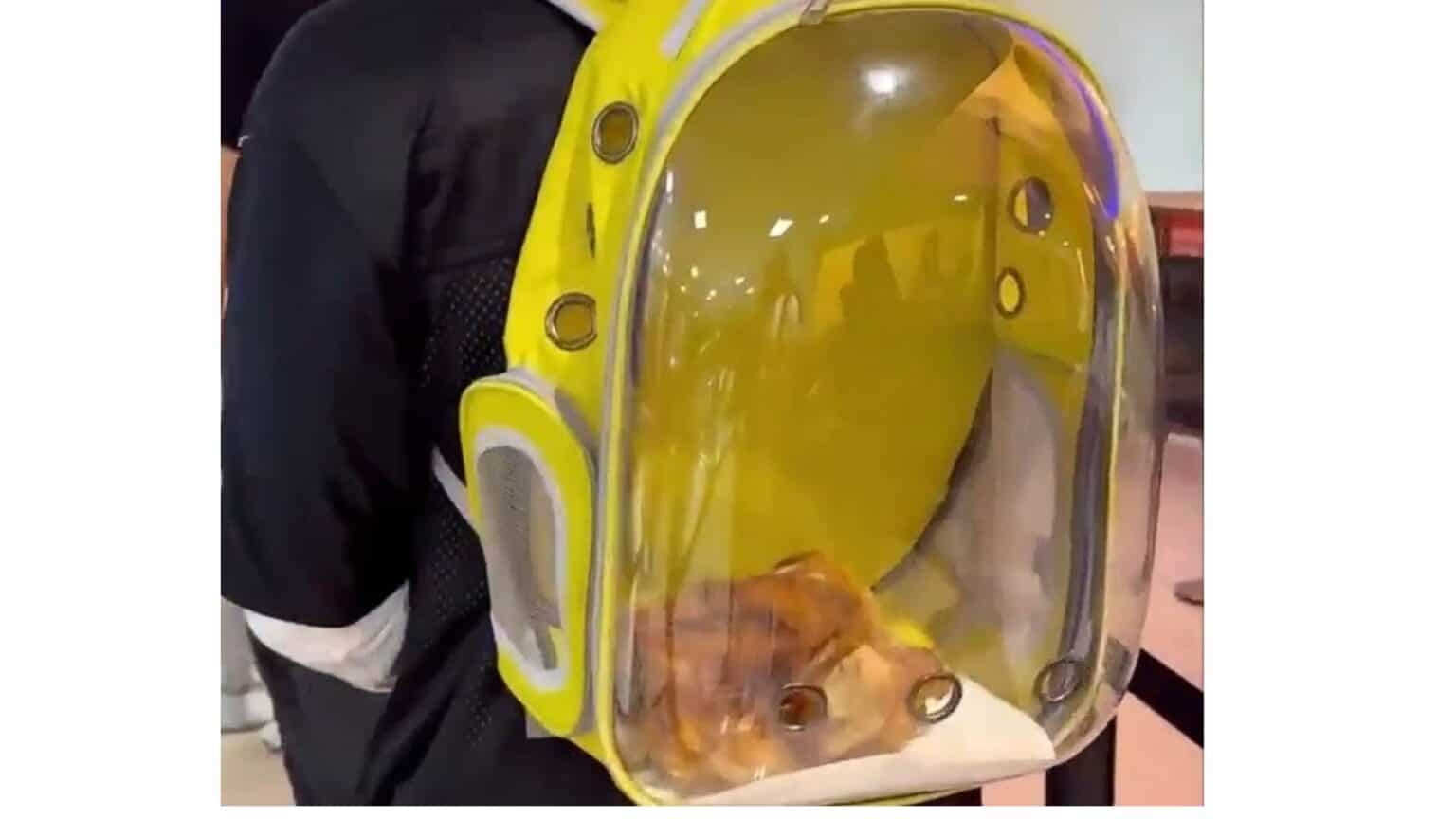 People Are Calling This an “Emotional Support Rotisserie Chicken” — and TSA Co-Signed It
