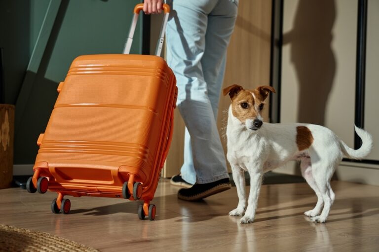 His Sister ‘Volunteered’ Him to Watch Their Parents’ Dog — Now His Family Is Calling Him Selfish for Refusing to Cancel His Vacation